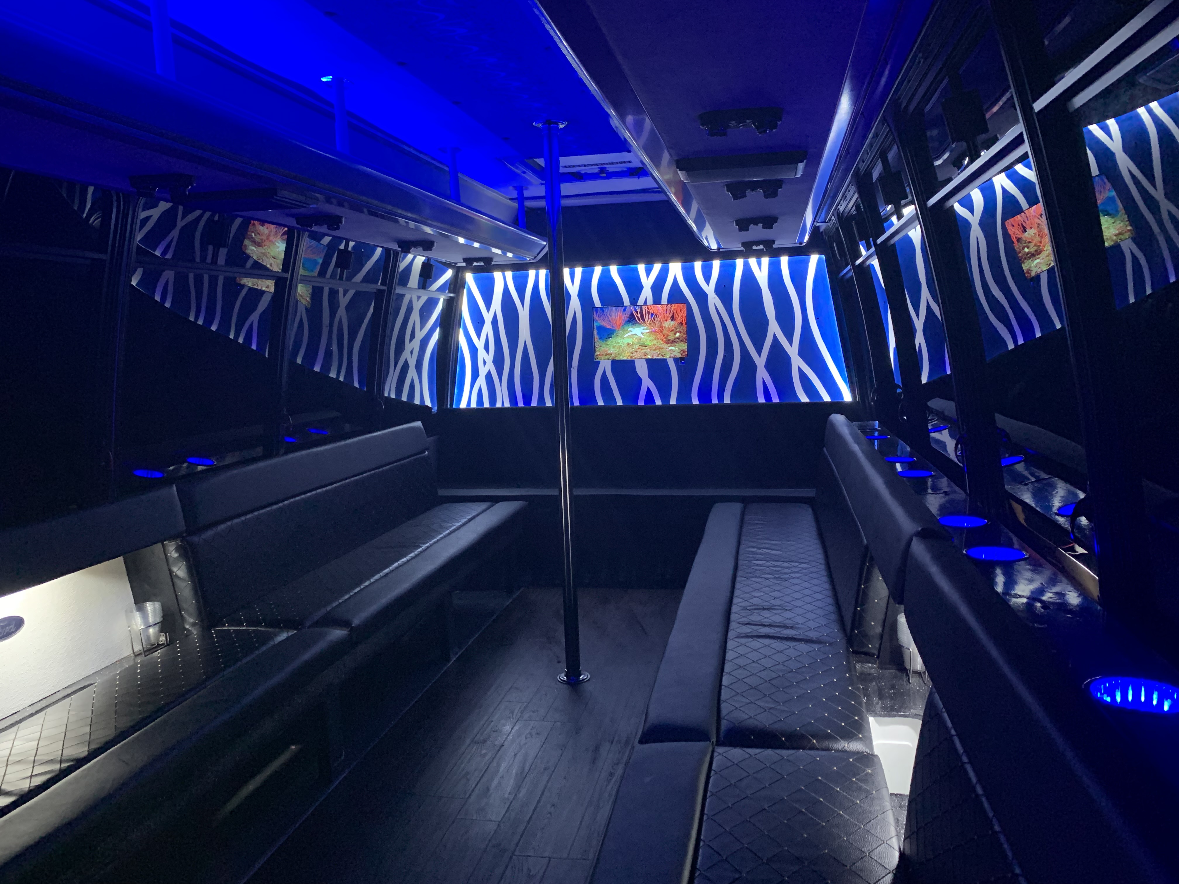 Party Bus Rentals Dallas Limo and Party Bus